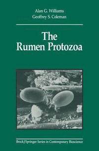 bokomslag The Rumen Protozoa