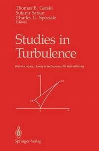 bokomslag Studies in Turbulence