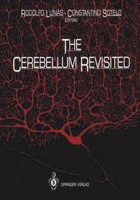 bokomslag The Cerebellum Revisited