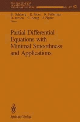 bokomslag Partial Differential Equations with Minimal Smoothness and Applications