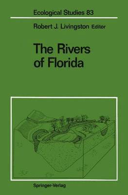 bokomslag The Rivers of Florida