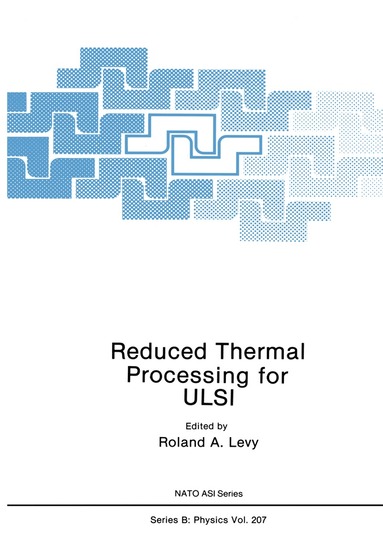 R.A. Levy - Reduced Thermal Processing for ULSI, Häftad