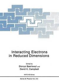 bokomslag Interacting Electrons in Reduced Dimensions