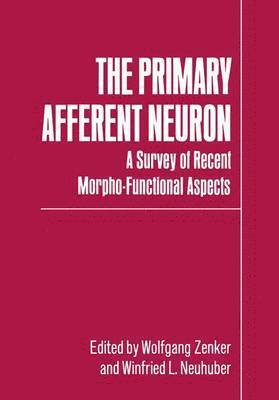 The Primary Afferent Neuron 1