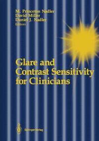 bokomslag Glare and Contrast Sensitivity for Clinicians