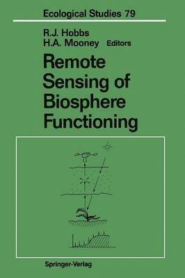 bokomslag Remote Sensing of Biosphere Functioning