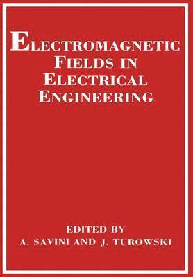 Electromagnetic Fields in Electrical Engineering 1