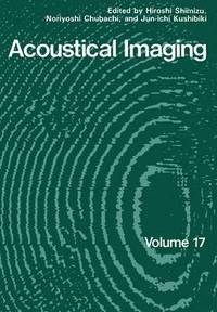 bokomslag Acoustical Imaging