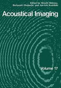 bokomslag Acoustical Imaging