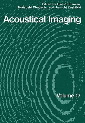 bokomslag Acoustical Imaging