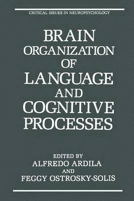 bokomslag Brain Organization of Language and Cognitive Processes