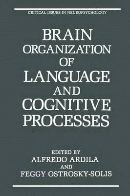 Brain Organization of Language and Cognitive Processes 1