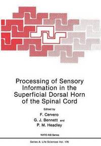 bokomslag Processing of Sensory Information in the Superficial Dorsal Horn of the Spinal Cord