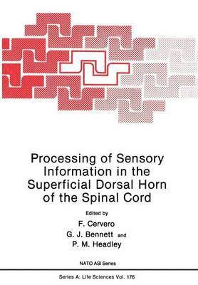 Processing of Sensory Information in the Superficial Dorsal Horn of the Spinal Cord 1