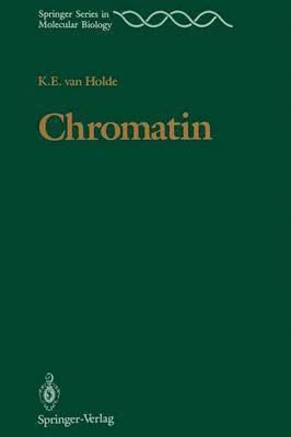 Chromatin 1