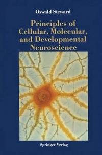 bokomslag Principles of Cellular, Molecular, and Developmental Neuroscience