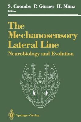 bokomslag The Mechanosensory Lateral Line