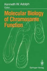 bokomslag Molecular Biology of Chromosome Function