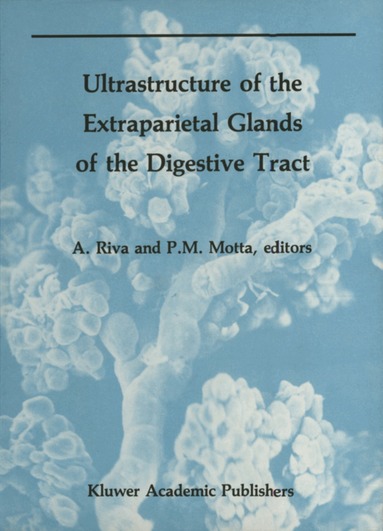 Allessandro Riva, P. Motta - Ultrastructure of the Extraparietal Glands of the Digestive Tract, Häftad