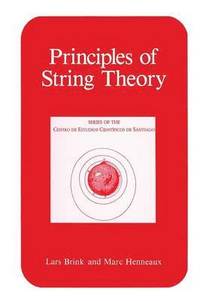 bokomslag Principles of String Theory