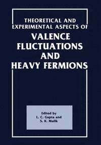 bokomslag Theoretical and Experimental Aspects of Valence Fluctuations and Heavy Fermions
