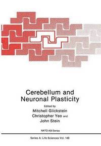 bokomslag Cerebellum and Neuronal Plasticity