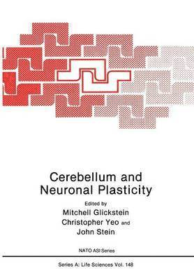 Cerebellum and Neuronal Plasticity 1