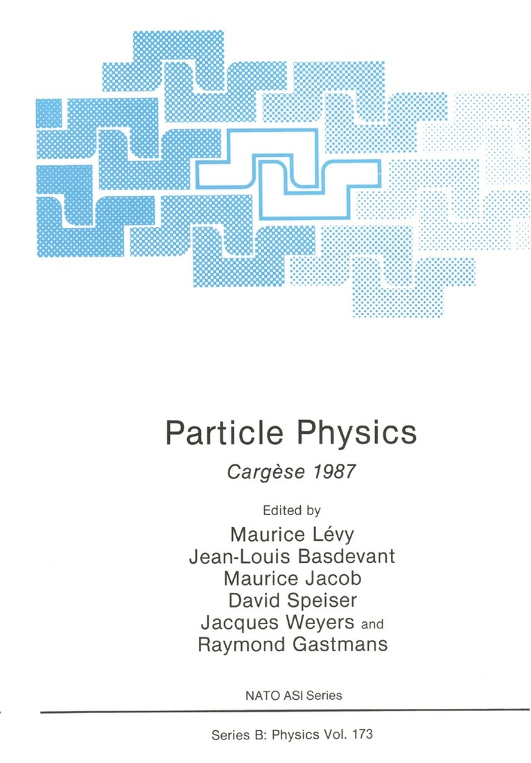 Maurice Levy - Particle Physics, Häftad