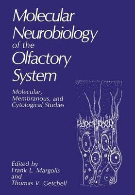 F.L. Margolis, T.V. Getchell, F. L. Margolis, T. V. Getchell - Molecular Neurobiology of the Olfactory System, Häftad
