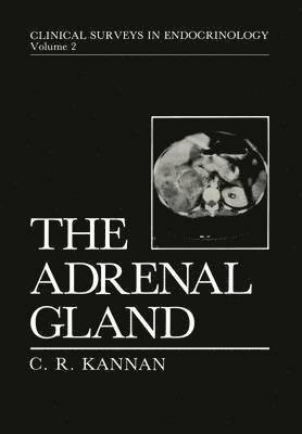 C.R. Kannan, C. R. Kannan - Adrenal Gland, Häftad
