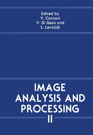 V. Cantoni, V. Di Gesu, S. Levialdi - Image Analysis and Processing II, Häftad