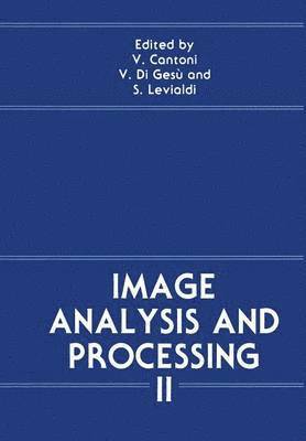 Image Analysis and Processing II 1
