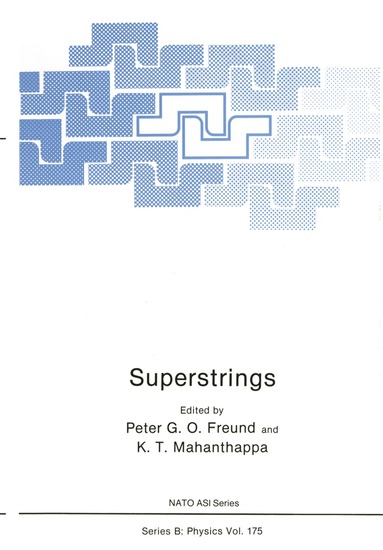 bokomslag Superstrings