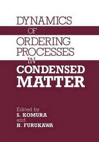 bokomslag Dynamics of Ordering Processes in Condensed Matter