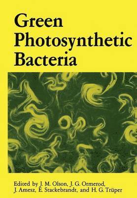 bokomslag Green Photosynthetic Bacteria