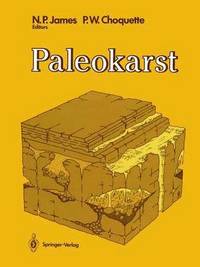 bokomslag Paleokarst