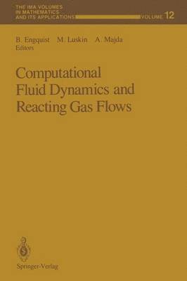 bokomslag Computational Fluid Dynamics and Reacting Gas Flows