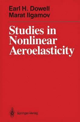 Studies in Nonlinear Aeroelasticity 1
