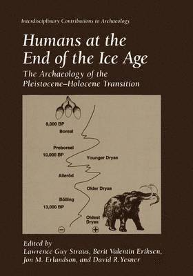Lawrence Guy Straus, Berit Valentin Eriksen, Jon M. Erlandson, David R. Yesner - Humans at the End of the Ice Age, Häftad