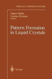 bokomslag Pattern Formation in Liquid Crystals