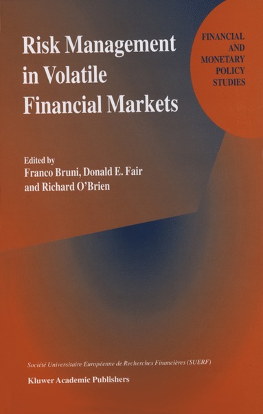 bokomslag Risk Management in Volatile Financial Markets