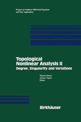 Michele Matzeu, Alfonso Vignoli - Topological Nonlinear Analysis II, Häftad