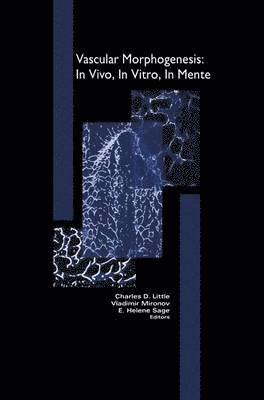 Vascular Morphogenesis: In Vivo, In Vitro, In Mente 1