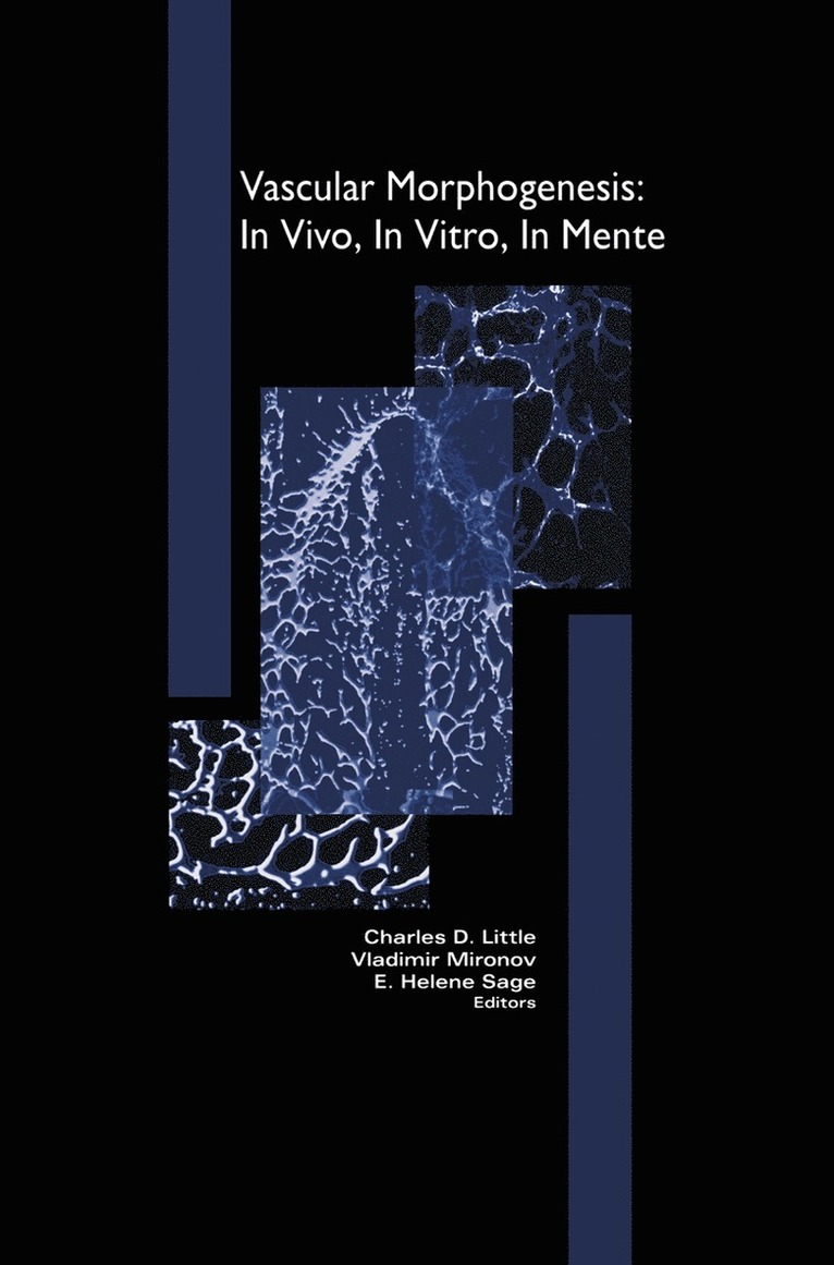 Vladimir Mironov, Charles Little, Helen Sage - Vascular Morphogenesis: In Vivo, In Vitro, In Mente, Häftad