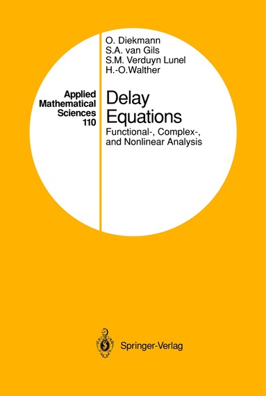 bokomslag Delay Equations