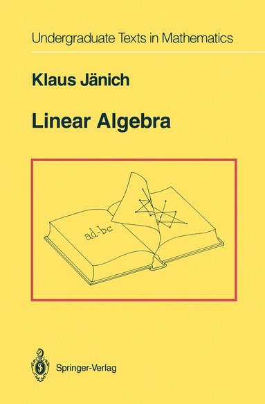 Klaus Jänich - Linear Algebra, Häftad