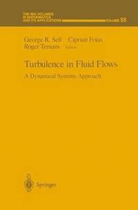 bokomslag Turbulence in Fluid Flows