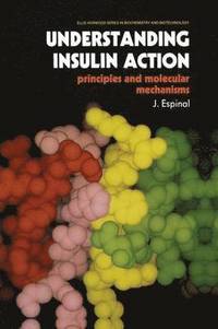 bokomslag Understanding Insulin Action