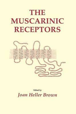 bokomslag Muscarinic Receptors