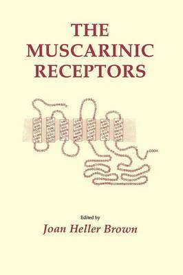 The Muscarinic Receptors 1